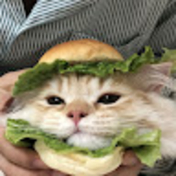sammywich45